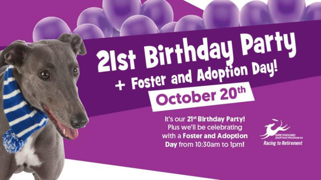 greyhound adoption program birthday