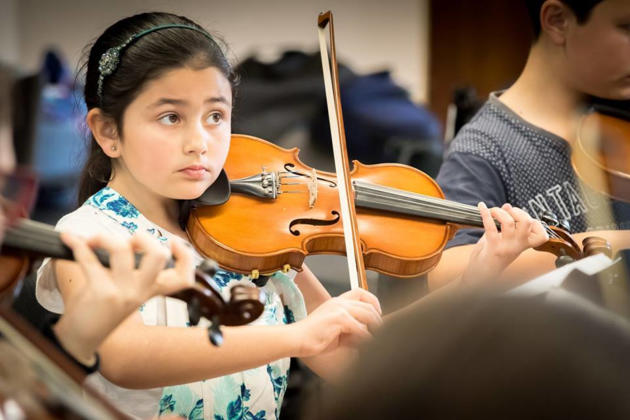 Adelaide Botanic Garden Concert | Adelaide Youth Strings | 1 Dec 2019 ...