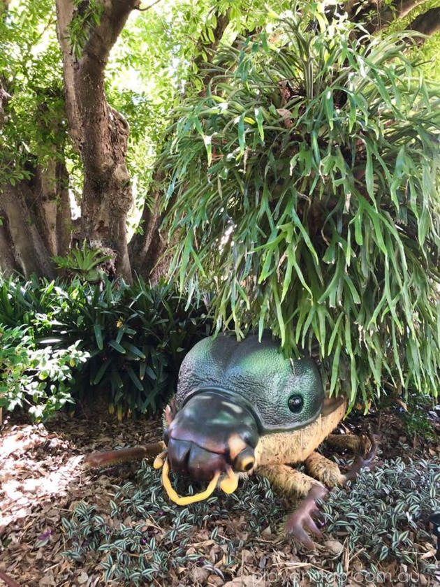 Giant bugs at Adelaide Zoo