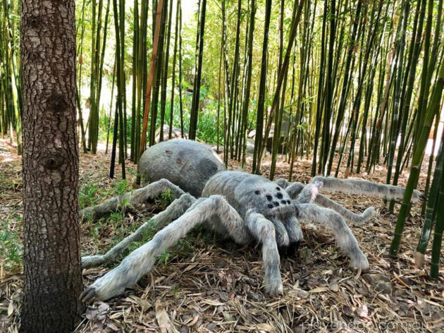 Gigantic Spider at Adelaide Zoo