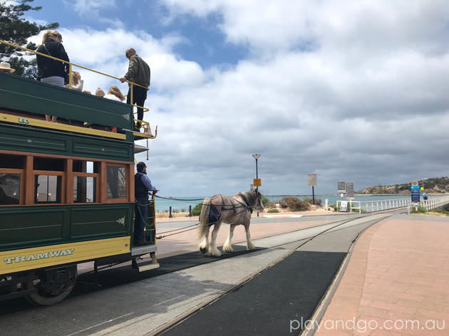 GT Fisher Playground aka Victor Harbor Train Park Review by Susannah Marks