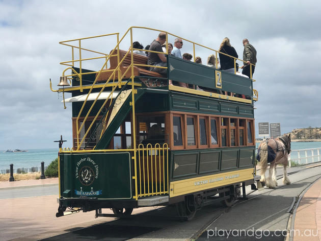 GT Fisher Playground aka Victor Harbor Train Park Review by Susannah Marks