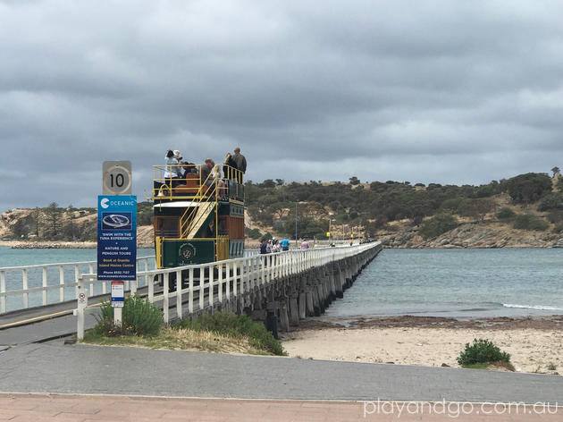 GT Fisher Playground aka Victor Harbor Train Park Review by Susannah Marks