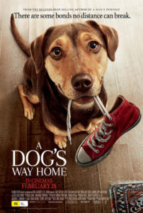 a dogs way home