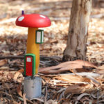 Matthew Street Reserve Fairy Houses