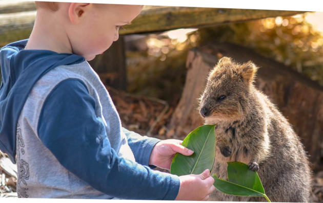 variety children's zoo