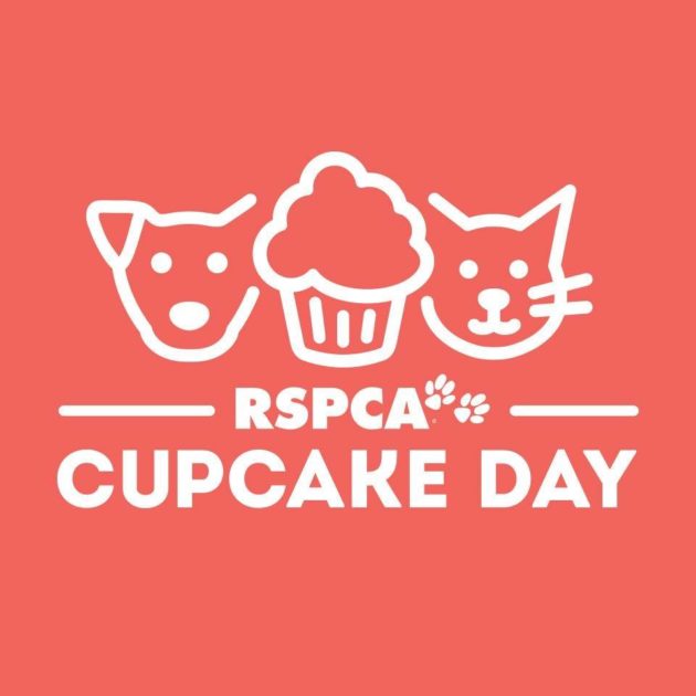 RSPCA Cupcake Day Bake to Fight Animal Cruelty 19 Aug 2019 What's