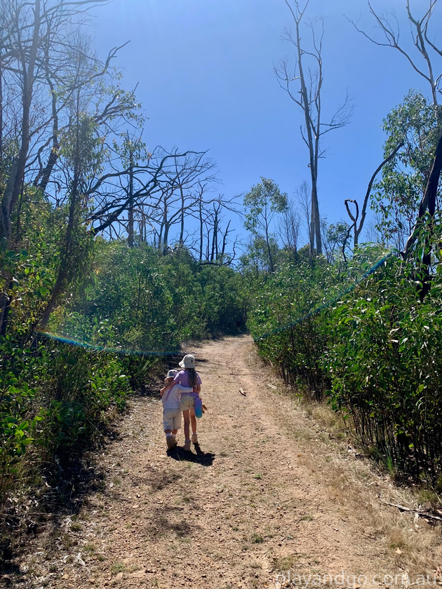 Lobethal Bushland Park walking trails bushwalk