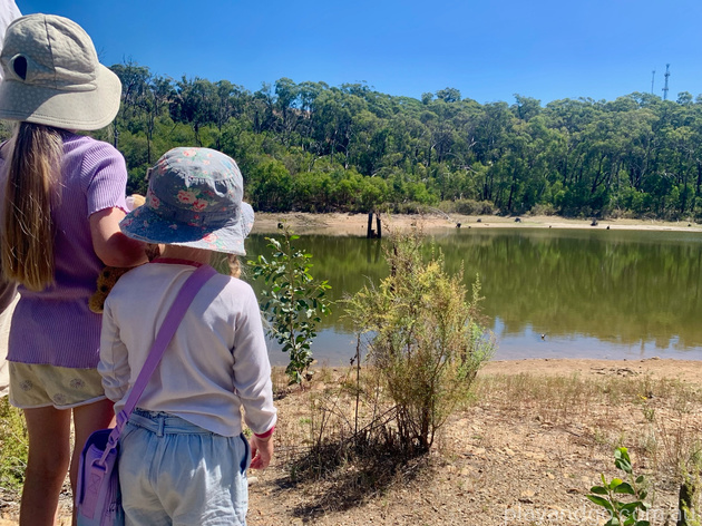 Lobethal Bushland Park walking trails bushwalk