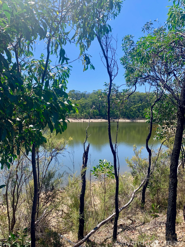 Lobethal Bushland Park walking trails bushwalk