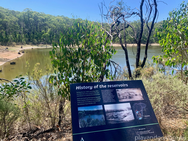 Lobethal Bushland Park walking trails bushwalk