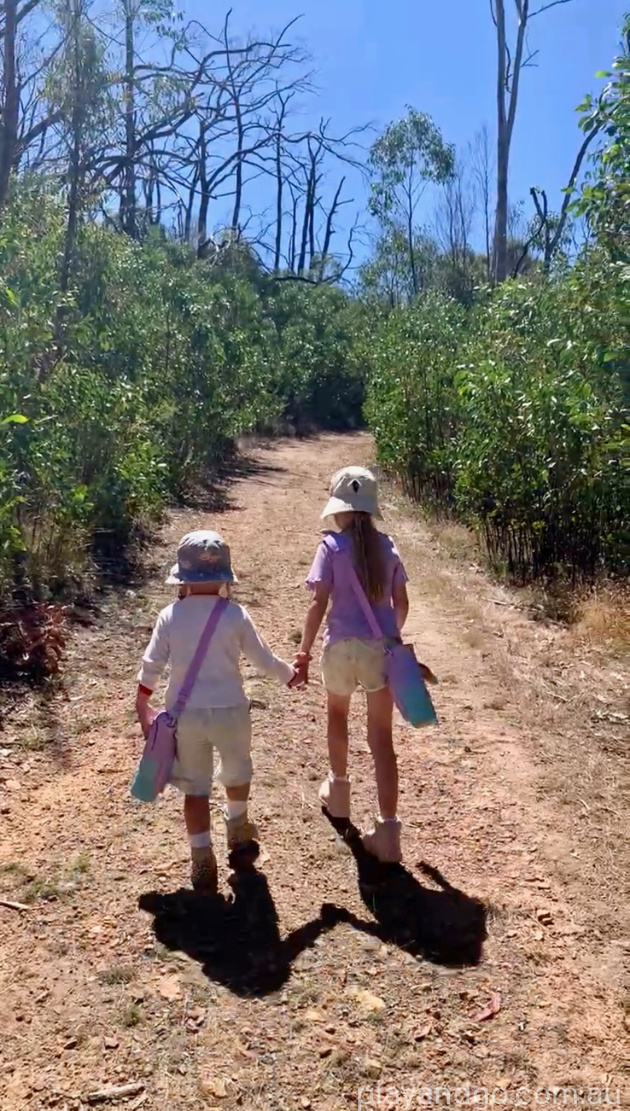 Lobethal Bushland Park walking trails bushwalk