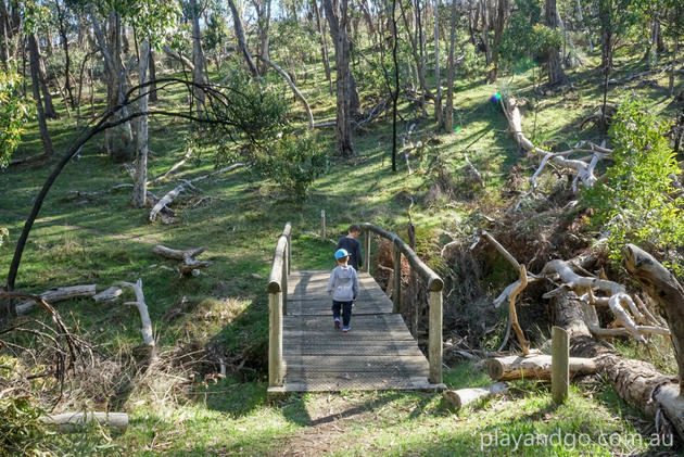 lobethal bushland walk