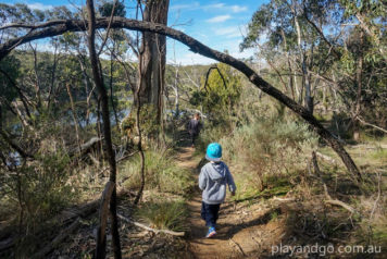 50 Great Walks & Hikes For Kids & Families 