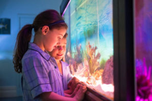 marine discovery centre open day