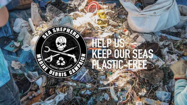 sea shepherd beach clean