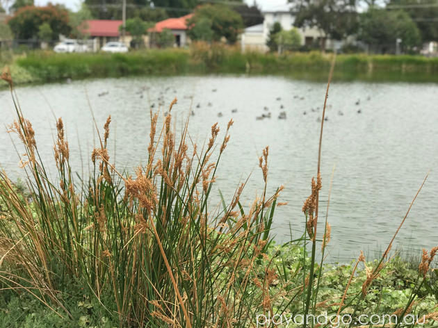 Felixstow Reserve Image Credit Susannah Marks