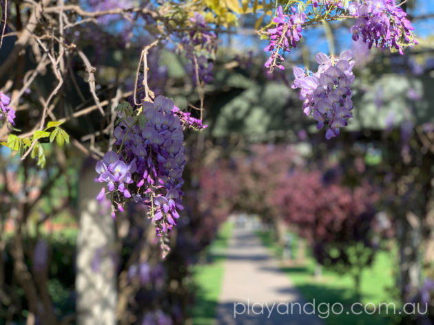 Fergusson Square, Toorak Gardens Playground Upgrade Review by Susannah Marks