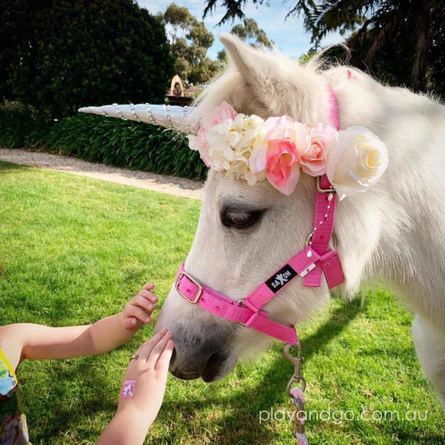 Once upon a princess Adelaide high tea