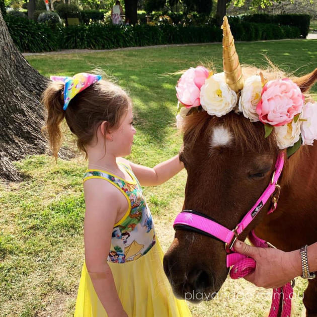 Once upon a princess Adelaide high tea