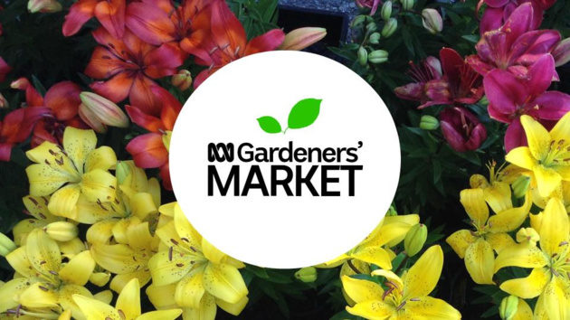 abc gardeners market