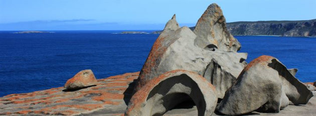 flinders chase national park