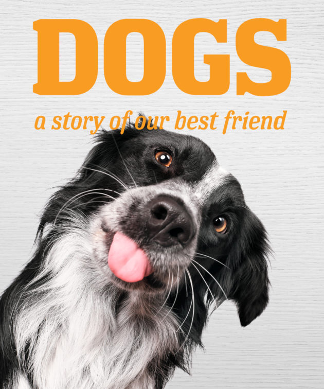 Dogs: a story of our best friend | South Australian Museum | 29 Nov ...
