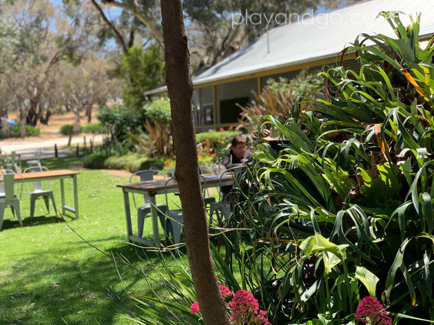 Whistler Wines, Barossa Family friendly winery Review by Susannah Marks