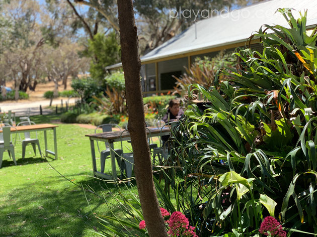 Whistler Wines Family Friendly Barossa Winery Review Play