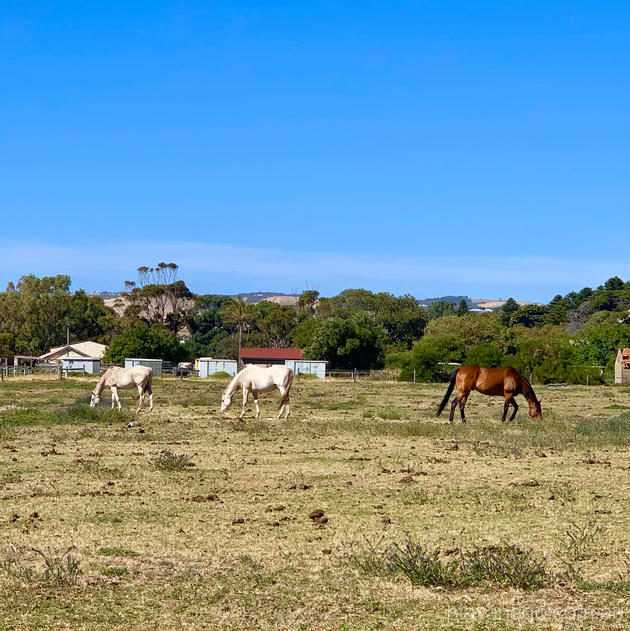 Normanville Beachside Holiday Park