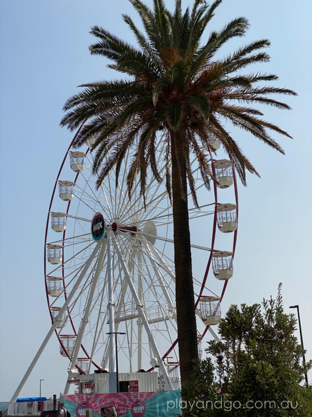 glenelg giant ferris wheel 