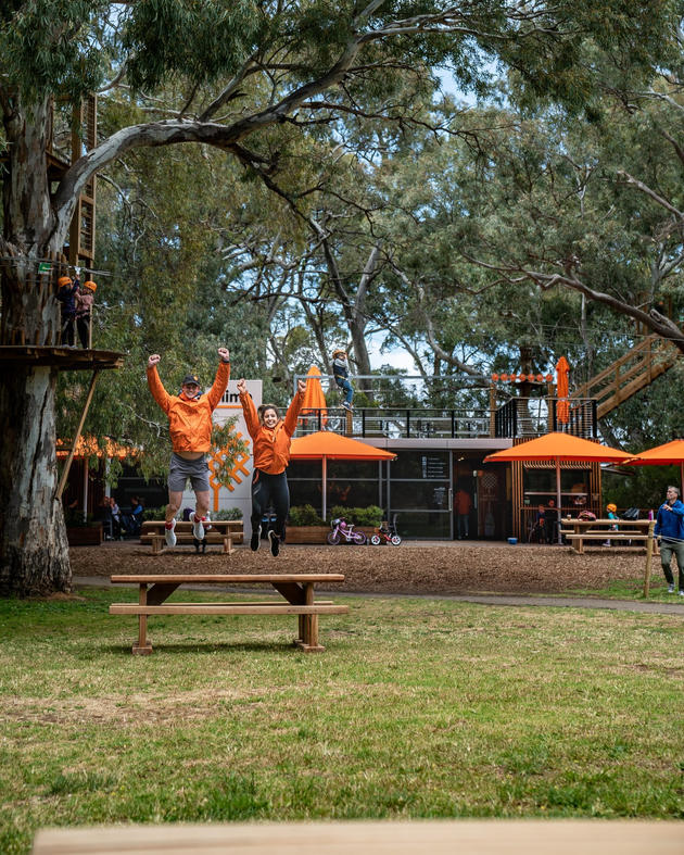 tree climb charity bbq 