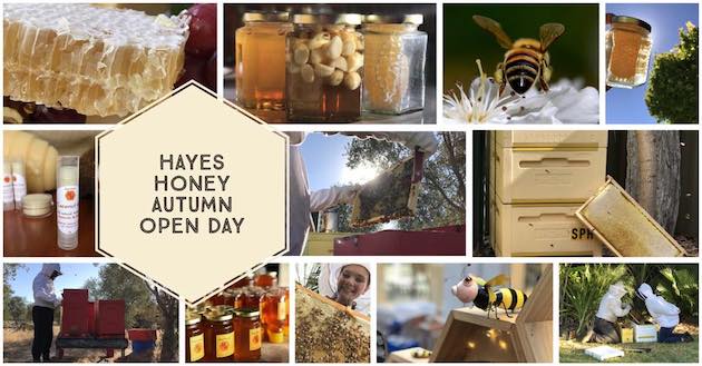 Hayes Honey Autumn Open Day | Salisbury Heights | 5 Apr 2020 - What's