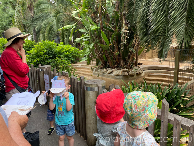 Adelaide Zoo A to Zoo session review by Susannah Marks