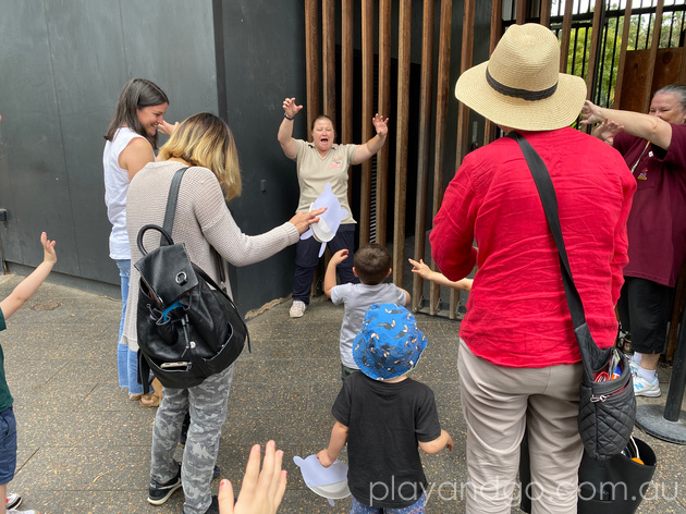 Adelaide Zoo A to Zoo session review by Susannah Marks