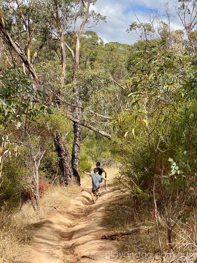 Sturt Gorge Dam at Sturt Gorge Recreation Park | Flagstaff Hill ...