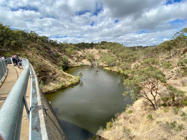 sturt gorge mtb