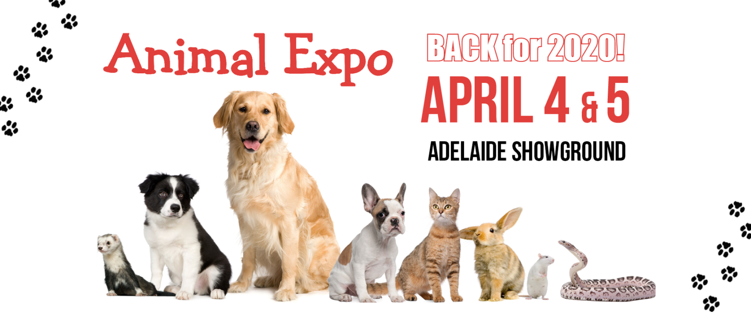 Animal Expo Adelaide Showground 2020 What's on for Adelaide