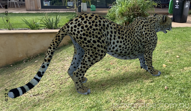 Google 3D Animals | Google Augmented Reality - Play & Go AdelaidePlay & Go  Adelaide