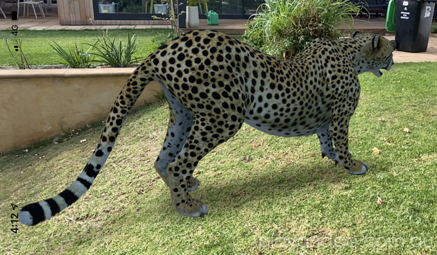 Google 3D Animals | Google Augmented Reality - Play & Go AdelaidePlay