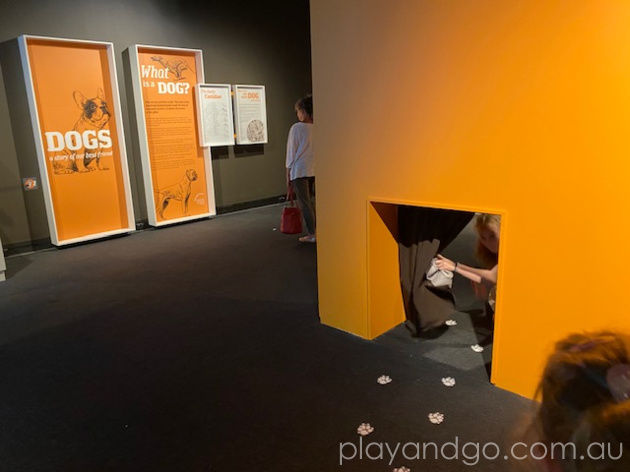 South Australian Museum Dogs Exhibition Review by Susannah Marks
