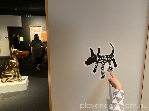 South Australian Museum Dogs Exhibition Review