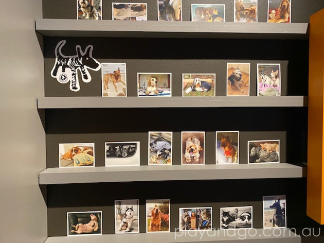 South Australian Museum Dogs Exhibition Review by Susannah Marks