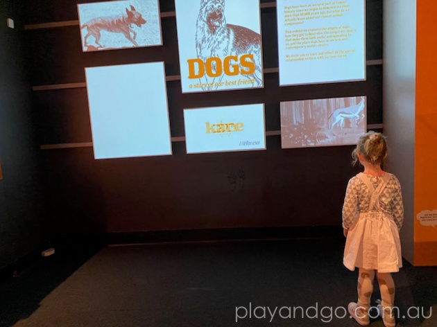 South Australian Museum Dogs Exhibition Review by Susannah Marks