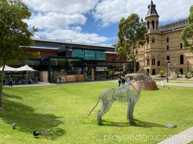 South Australian Museum Dogs Exhibition Review by Susannah Marks