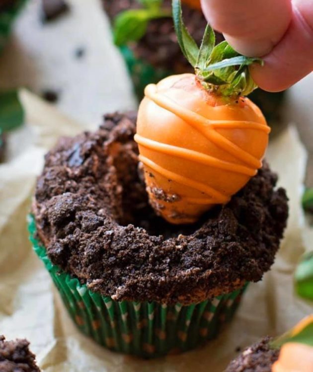 carrot patch cupcakes life made simple