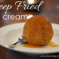 Deep Fried Ice Cream Recipe