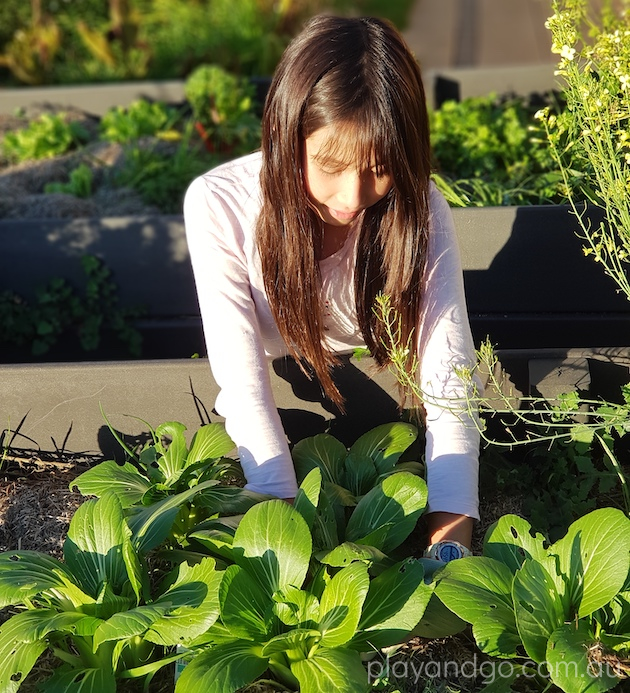 gardening with kids