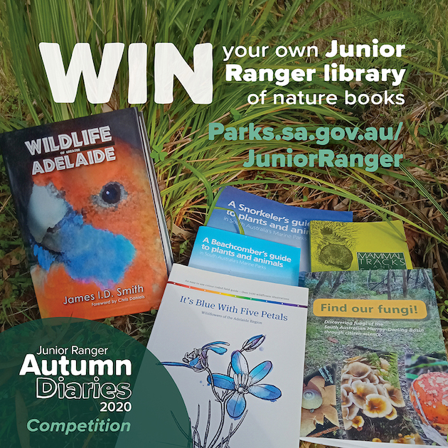 Junior Rangers Competition