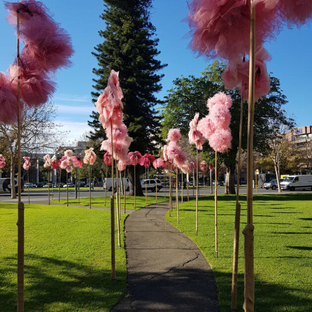 hindmarsh square blooms